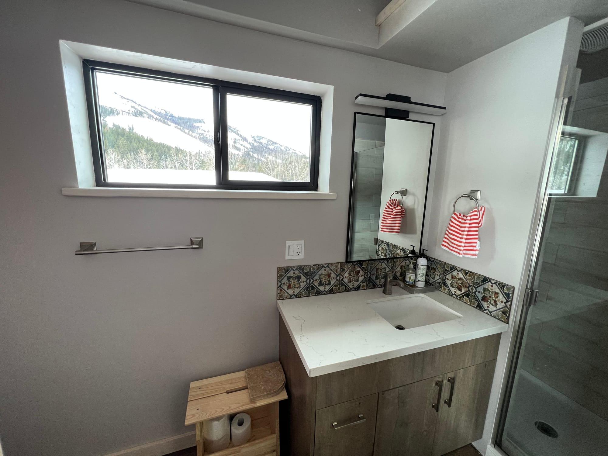Apartment bathroom, with a walk-in shower and a window onto the trees