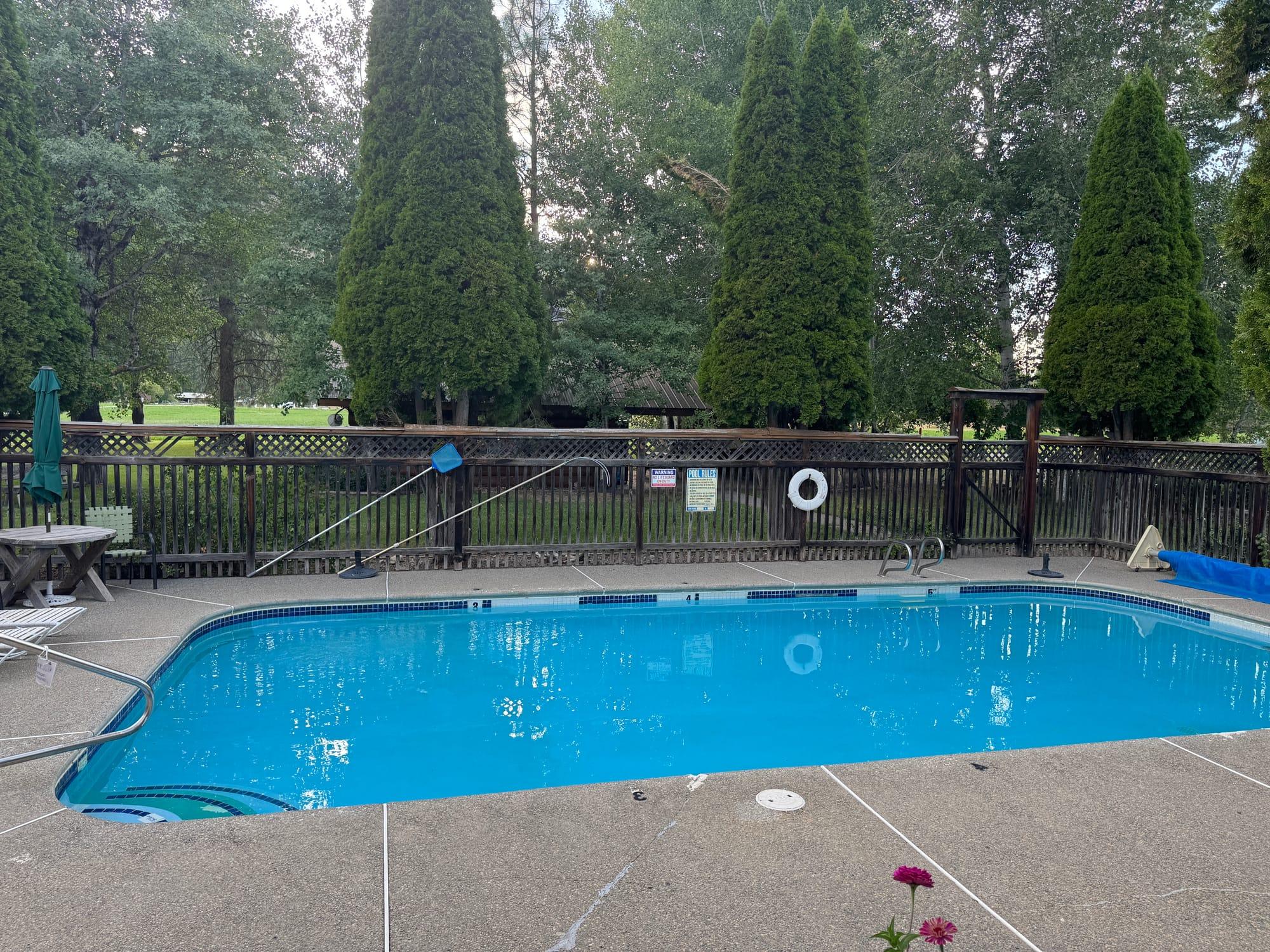 The pool from the far side, with loungers, a shaded table and open lawn beyond the fence