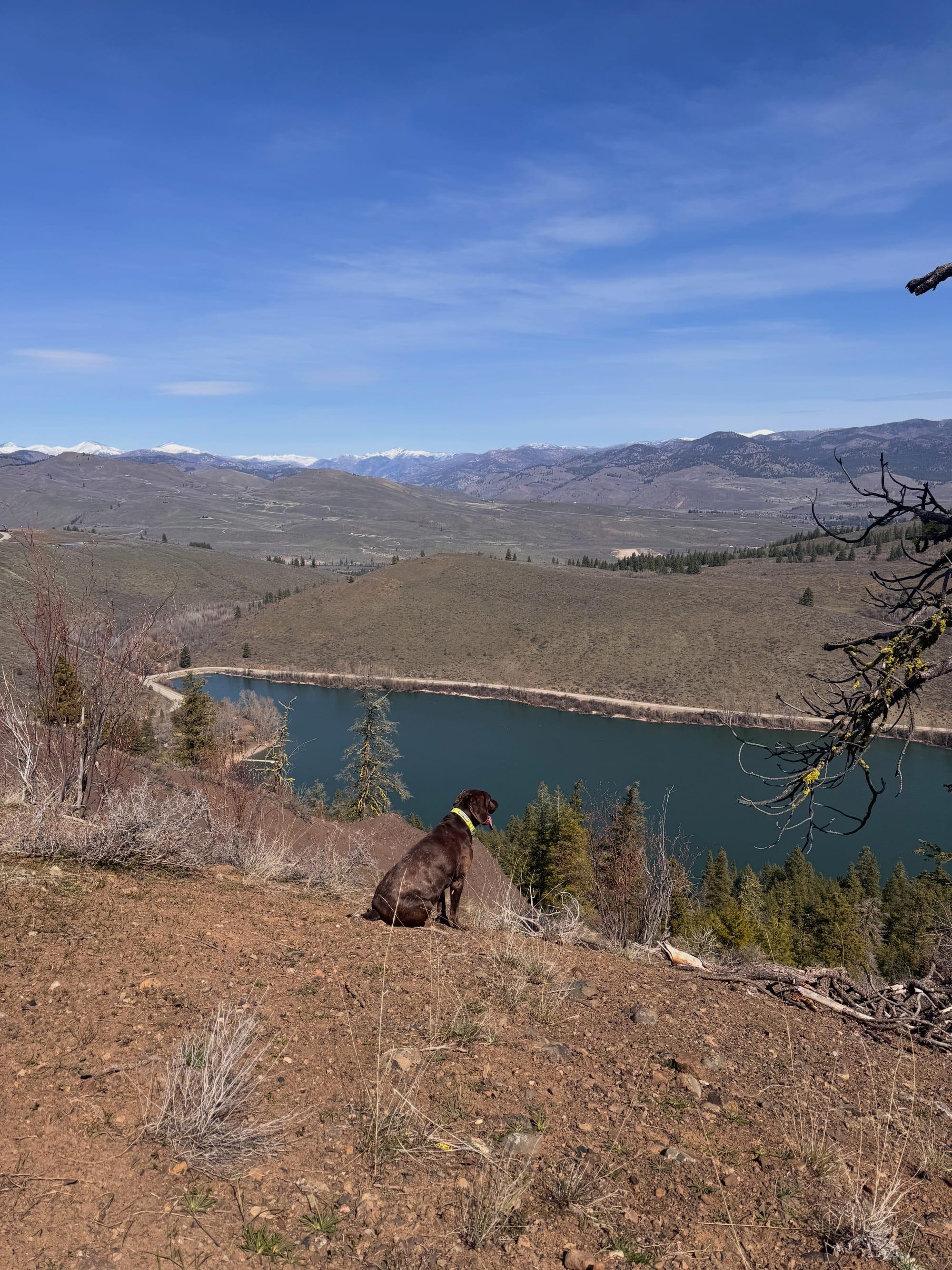 Creek sitting at the edge of the bluff, looking out over the water to the hills and distant snow