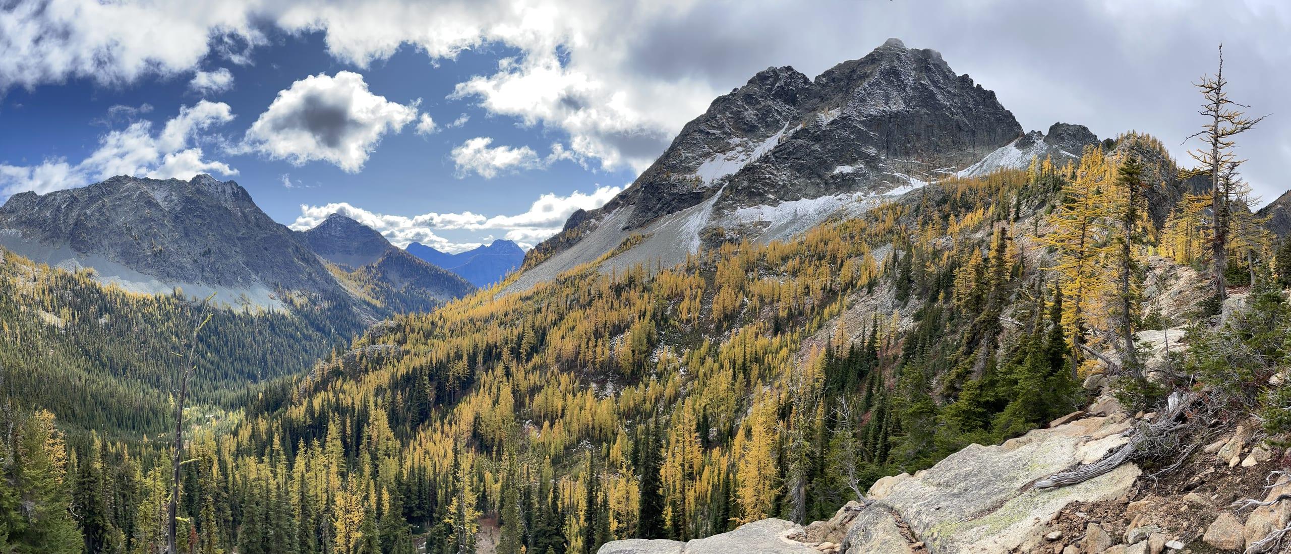 Golden larches running down a high valley in the North Cascades, seen from a rocky shoulder, with a snow-streaked peak standing over the head of it